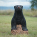 Wildcrete Honeybadger